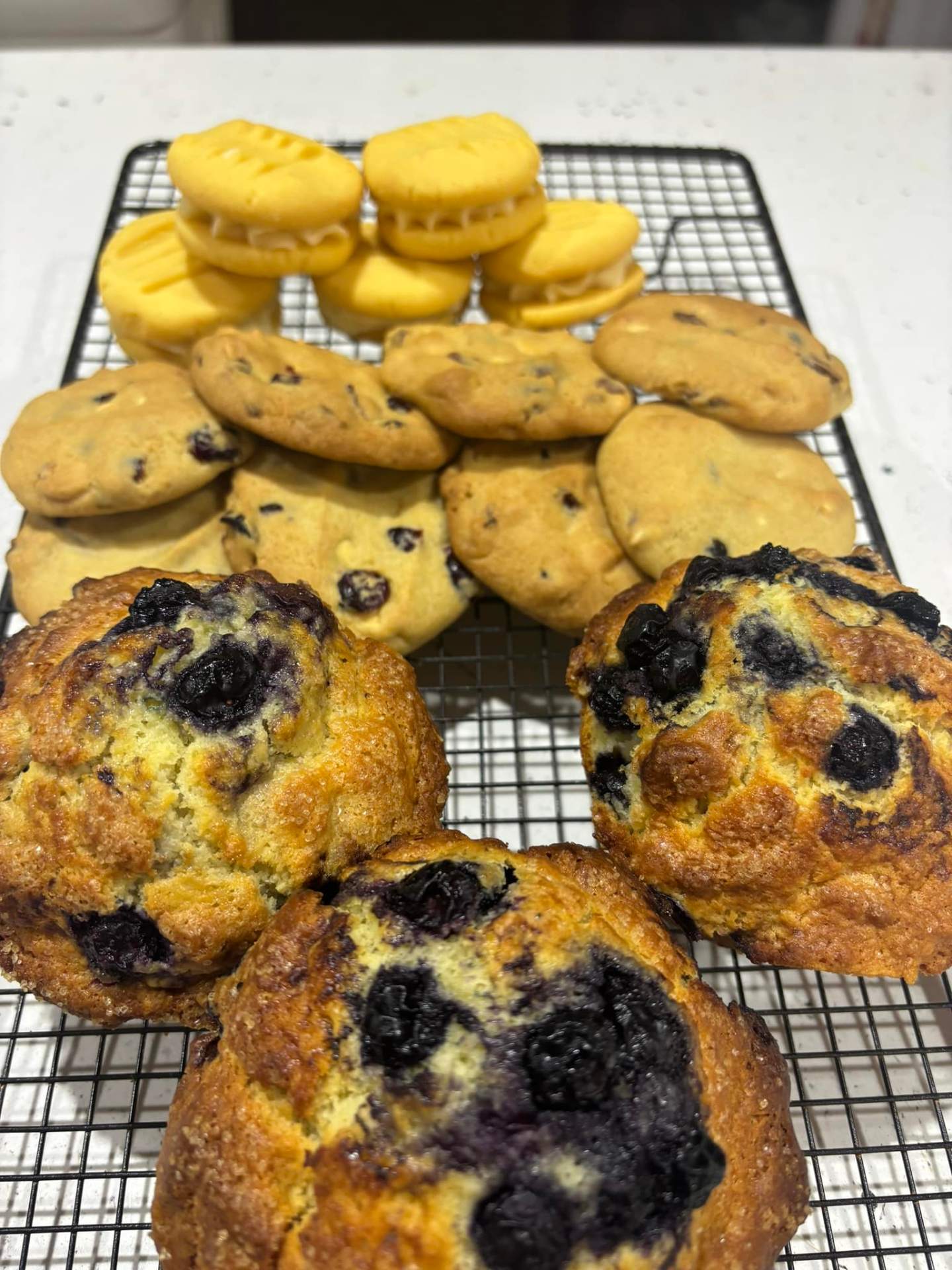 Fresh blueberry muffins with cranberry cookies and melting moments cooling on a wire rack